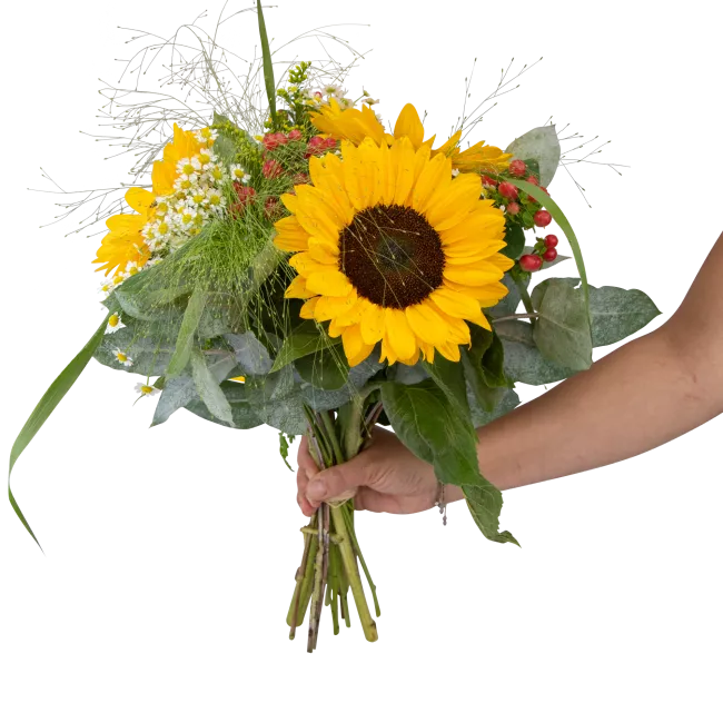 bouquet of sunflower
